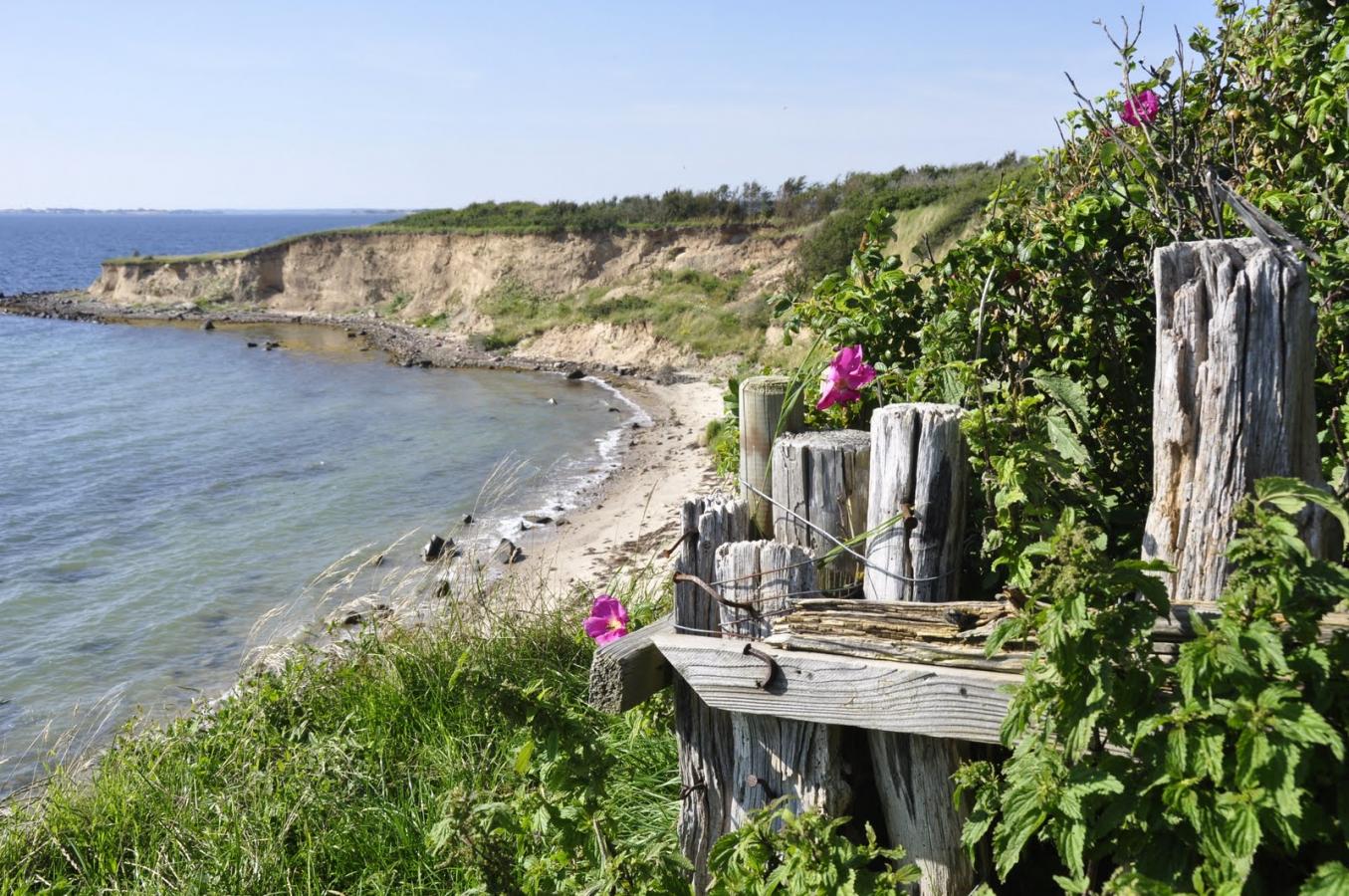 En hel dag: besøg øerne Det Sydfynske | VisitSvendborg