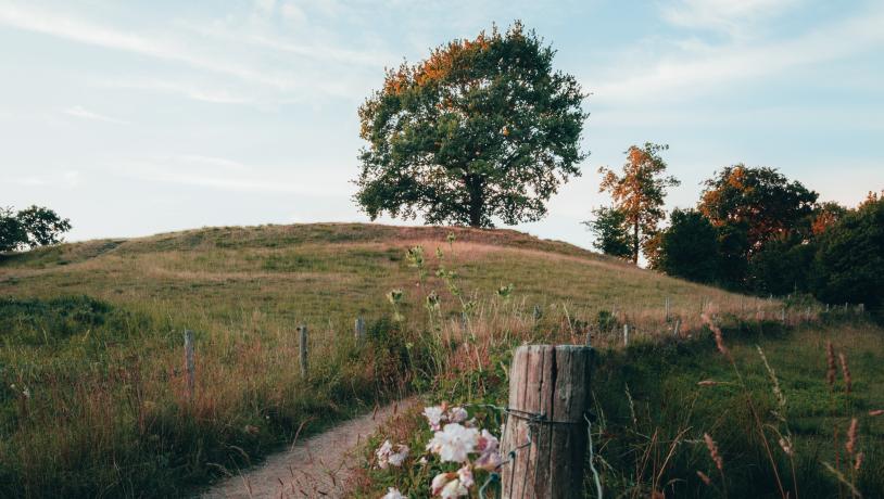 Ørkild Voldsted