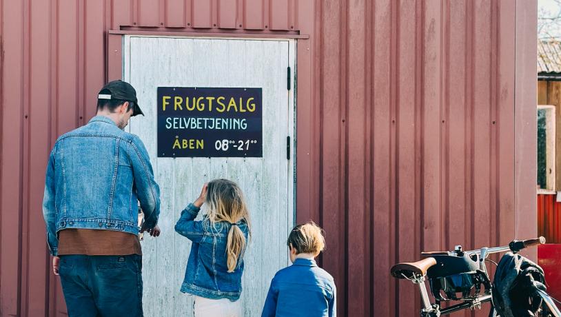 Frugtsalg Svendborg, Sydfyn