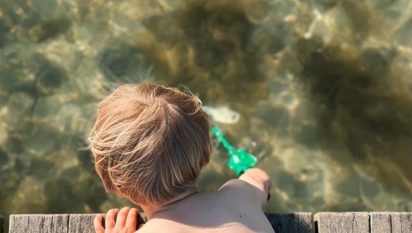 Krabbefangst i Svendborg, Sommer ved Sundet