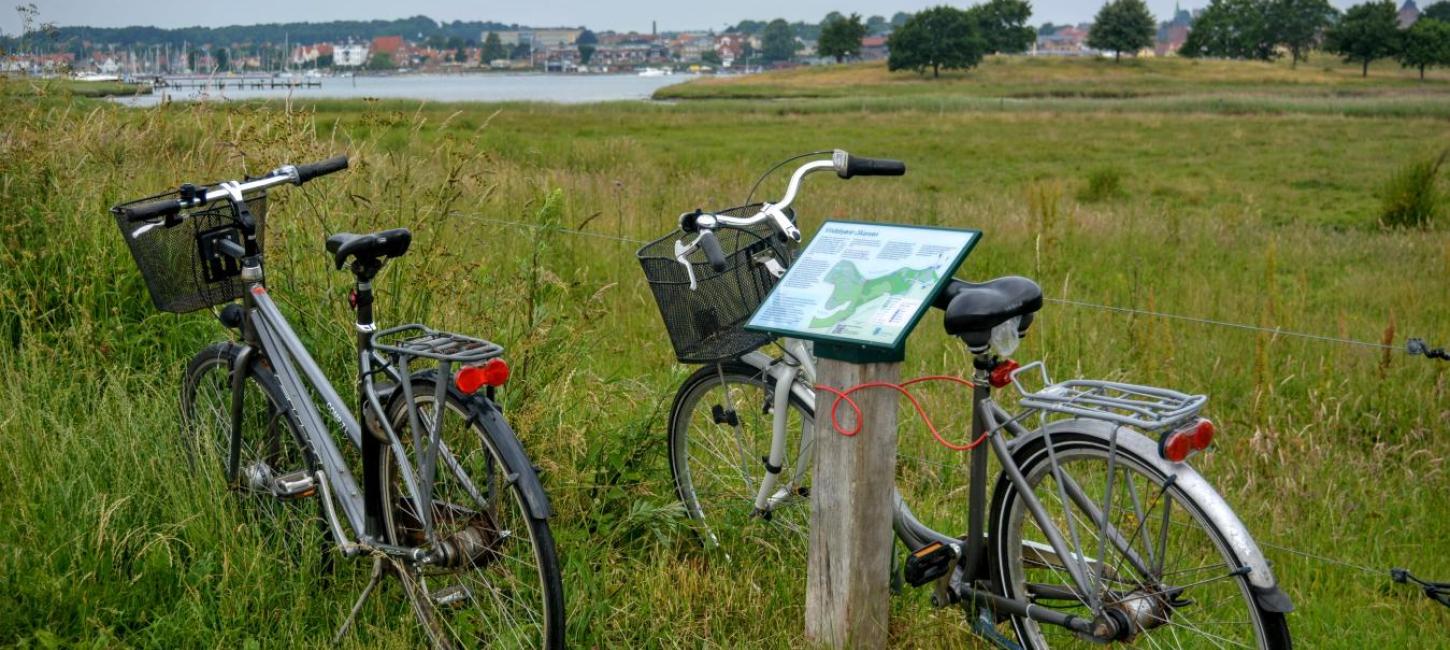 Cykler Svendborg