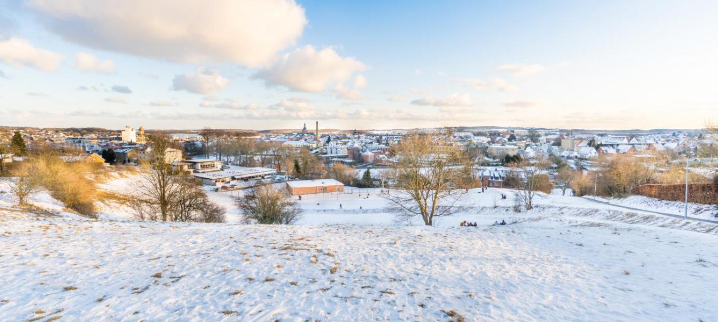 sneklædt landskab