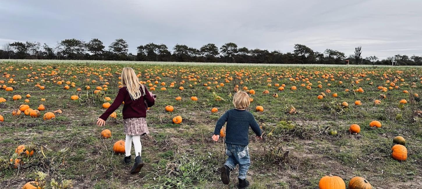 Halloween i Svendborg