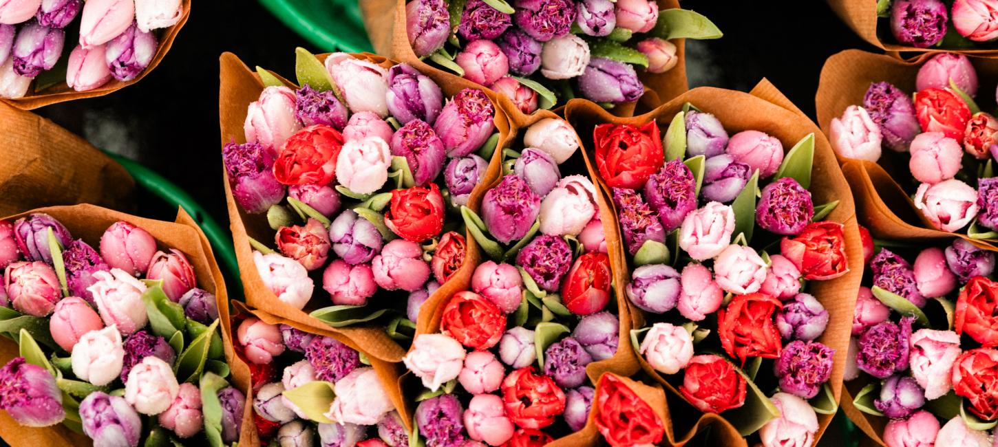 Forårs i Svendborg, tulipaner til torvedag