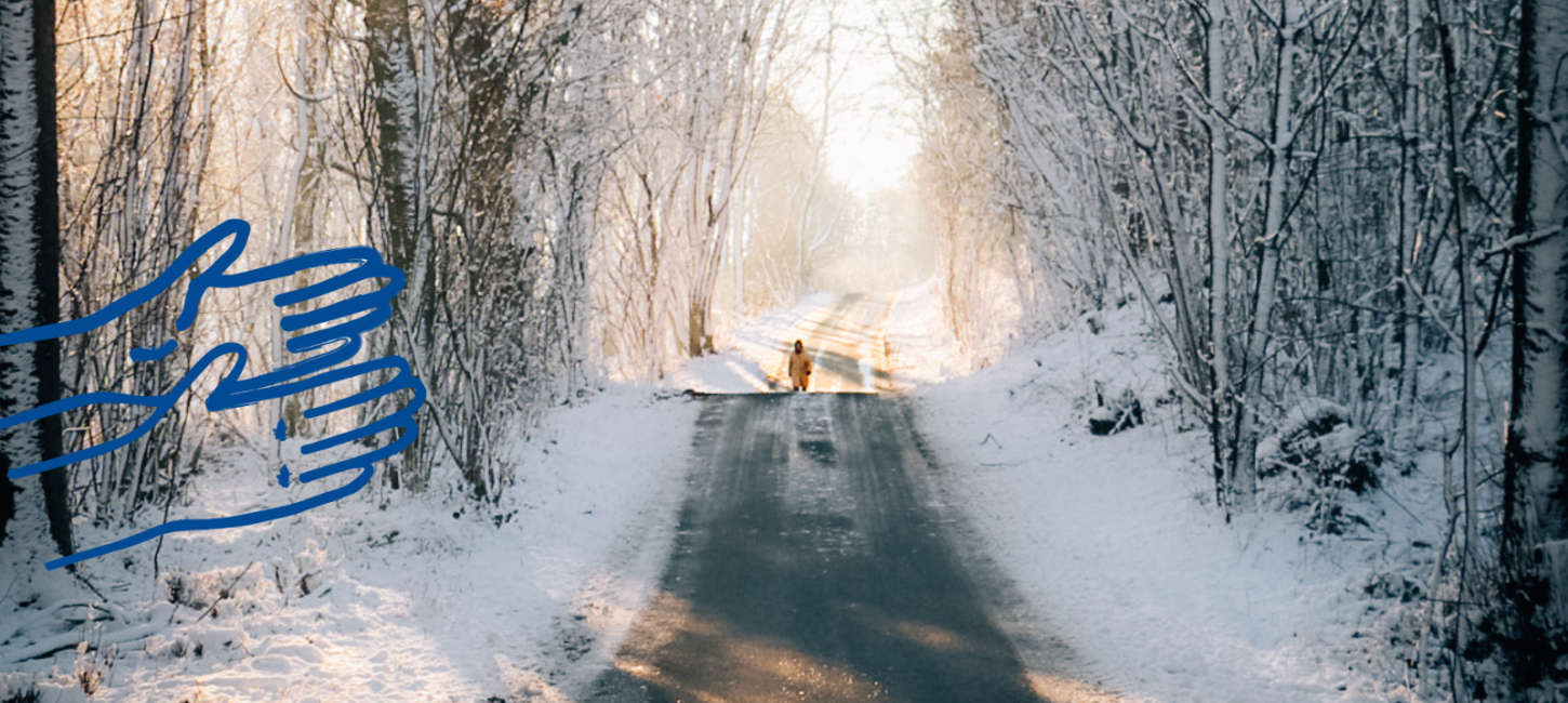 Vinter, Sne, skov