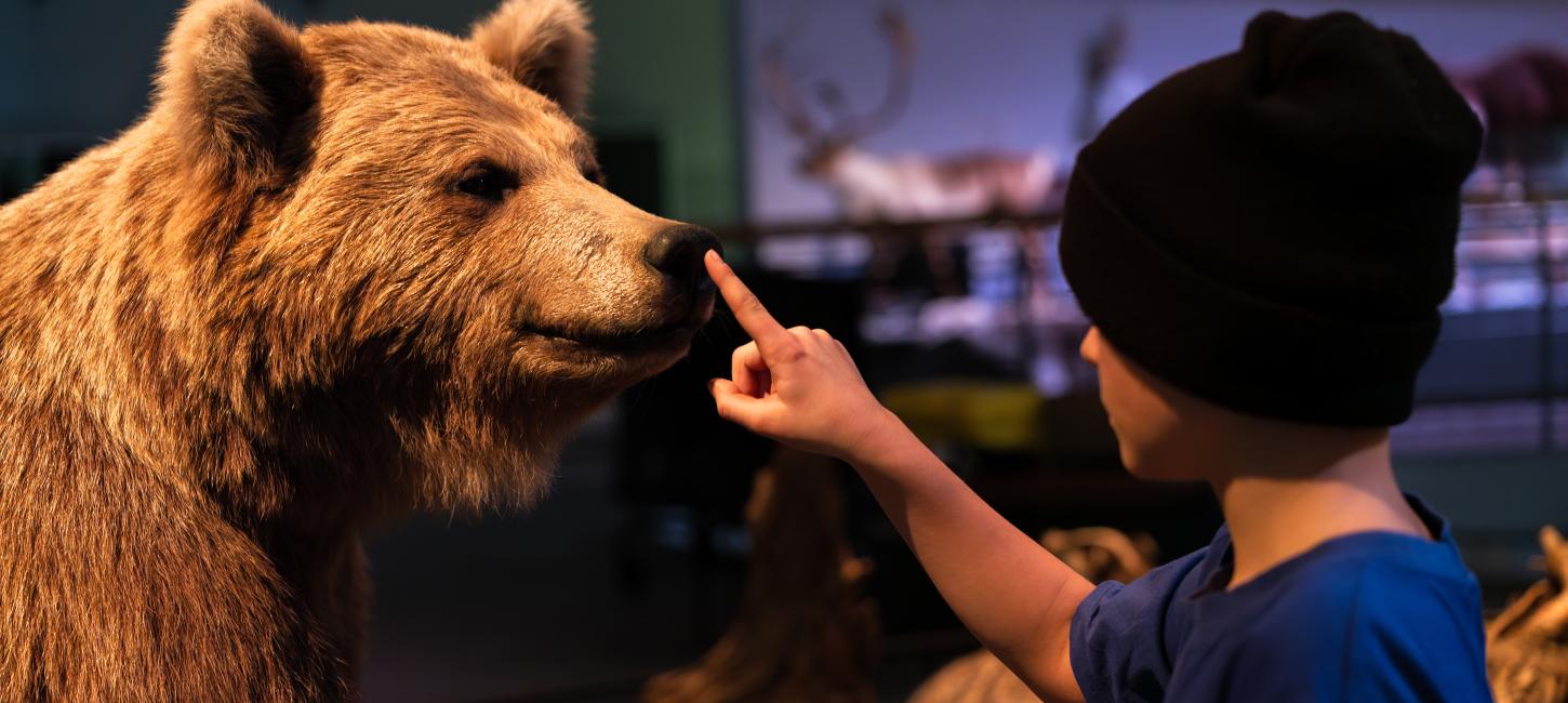 naturhistoriske museum, svendborg