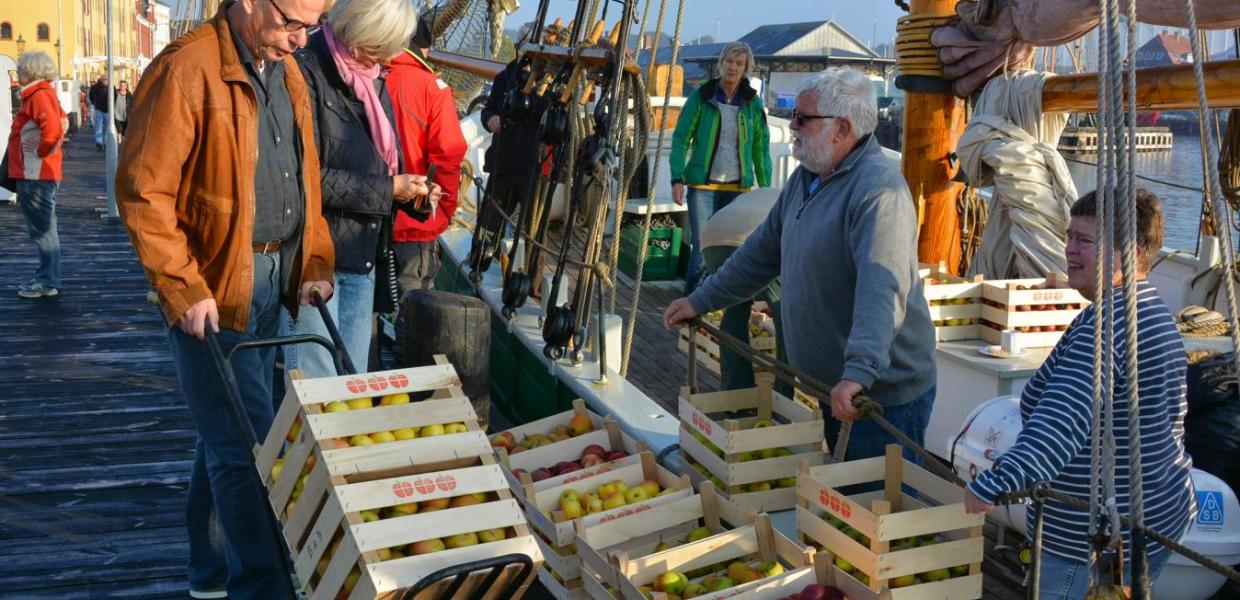 æbler på havnen