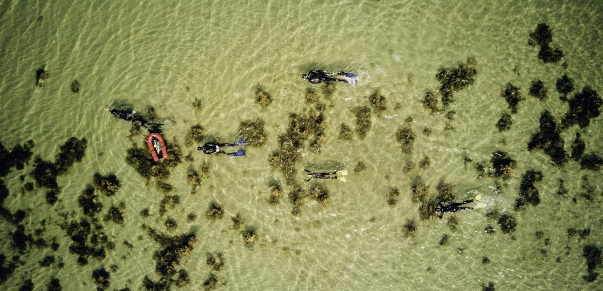 Snorkling Sydfyn