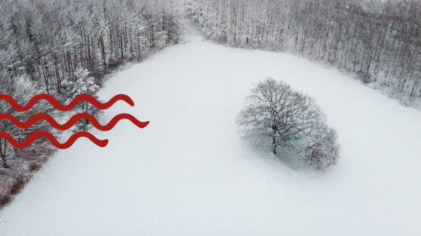 Vinter i Svendborg, sne i Hallindskoven