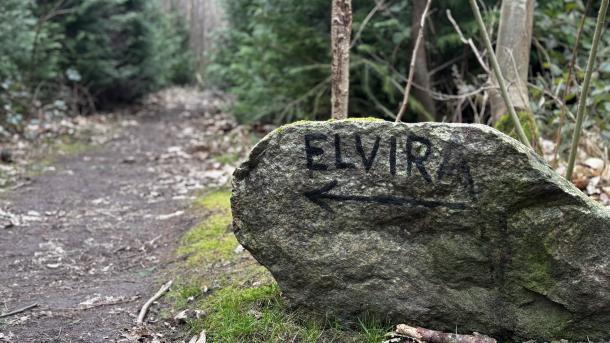 Elvira Madigan mindesten i Nørreskoven, Svendborg