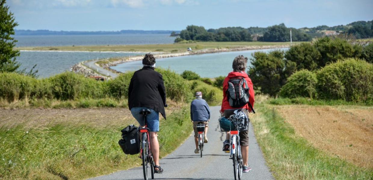 cykellister på landevej