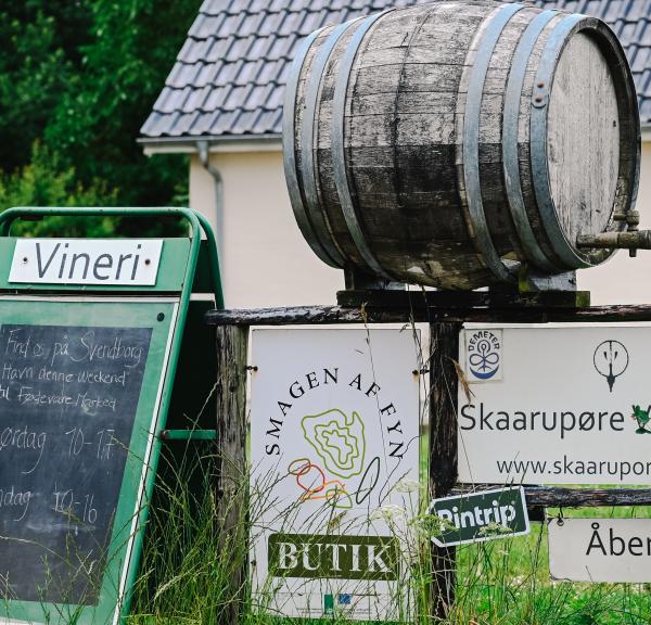 Skaarupøre Vingård