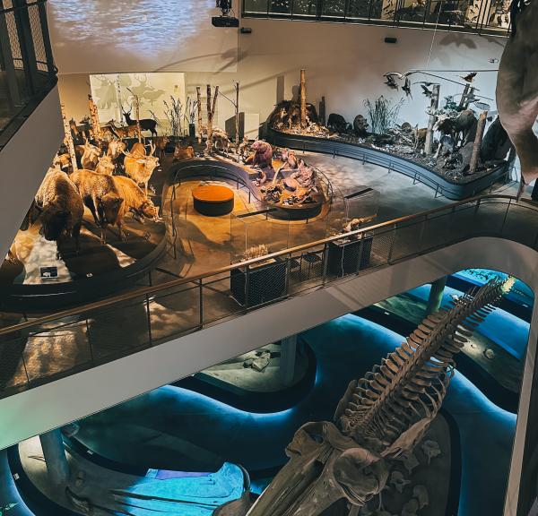 Naturama, Svendborg
