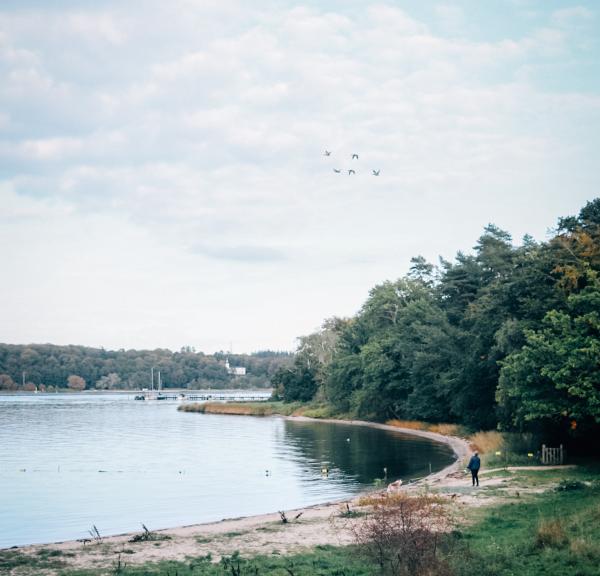 Efterår Vindebyøre, Svendborg