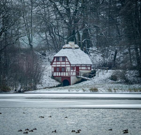 Hvidkilde snevejr, Svendborg
