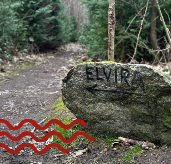 Elvira stenen i Nørreskoven, Svendborg