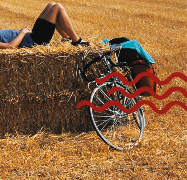 Cyklist Svendborg sommer