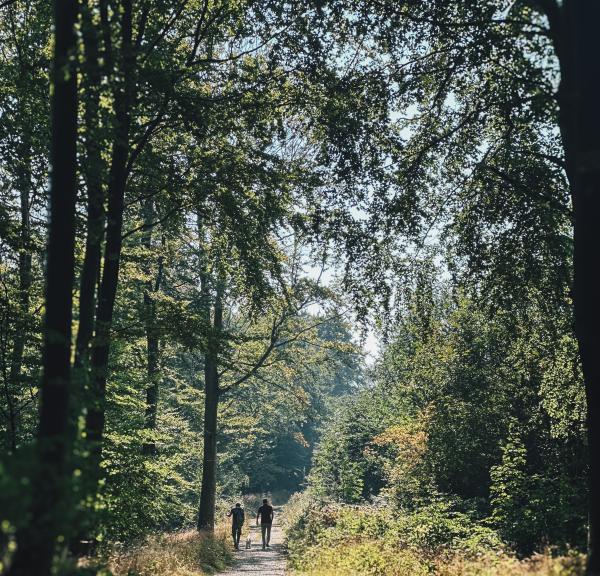 Nørreskoven på Tåsinge, Svendborg