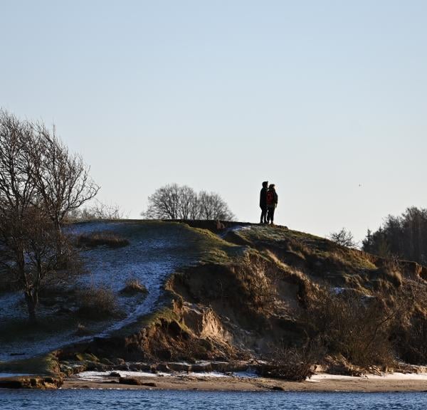 tåsinge, vinter, natur, svendborg
