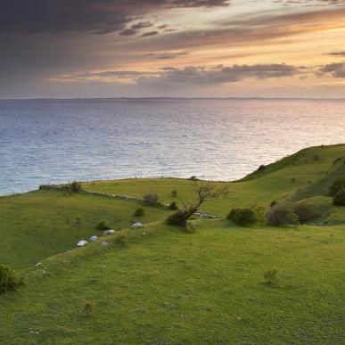 Naturlandskab Voderup Klit på Ærø