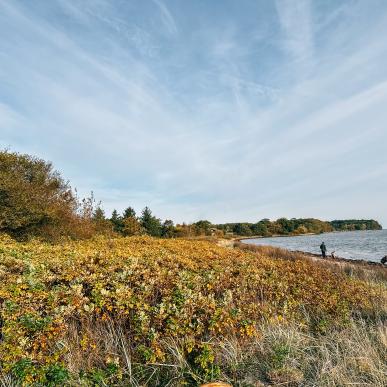 Efterår Øhavsstien, Svendborg