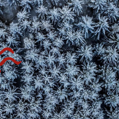 Snedækket skov, Svendborg, UNESCO-certificeret område