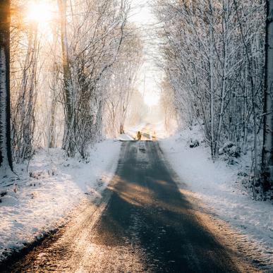 Sne, vinter i Svendborg ved Hvidkilde