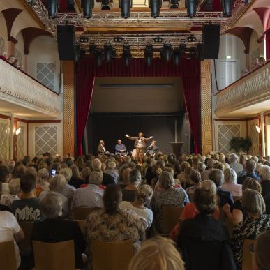 Borgerforeningen Svendborg Teater, SVEND Filmdage