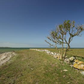 Drejø natur