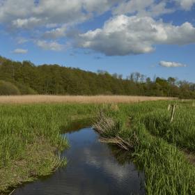 Naturlandskab Syltemade Ådal i Svendborg Kommune