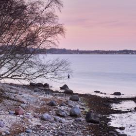 Thurø Østerskov landskab, en del af Geopark Det Sydfynske Øhav