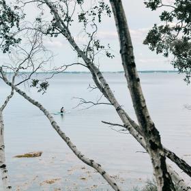 Thurø Rev, sommer