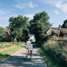 ølivet Svendborg