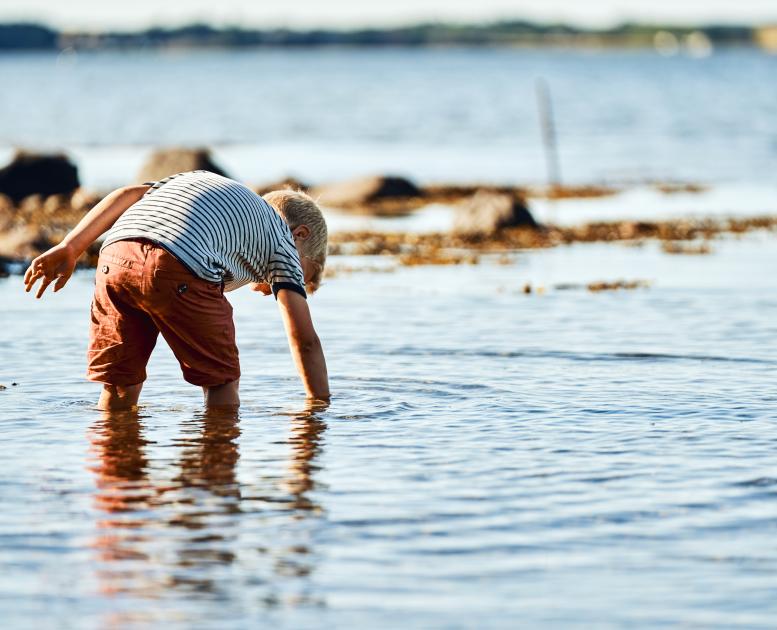 Strand på Skarø