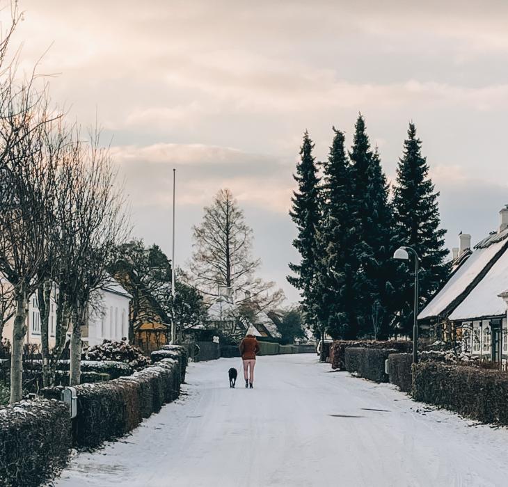 sne, vinter troense, svendborg