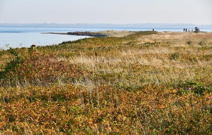 Thurø Rev