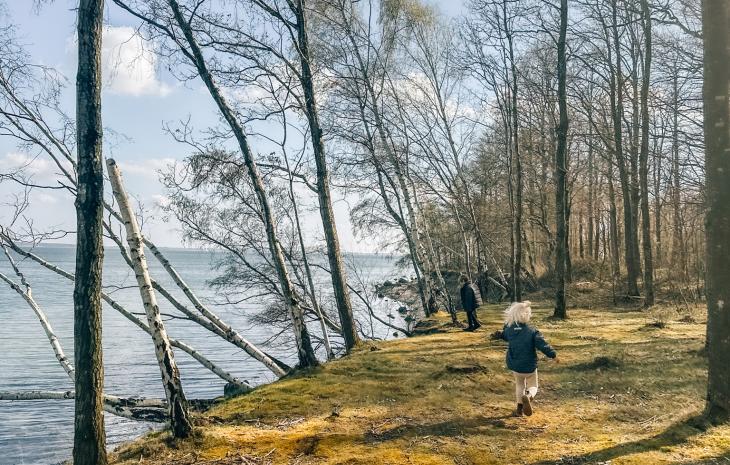 Forår ved Thurø Rev, Svendborg